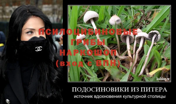 бошки Верея