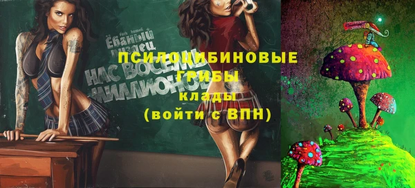 прущая мука Верхний Тагил