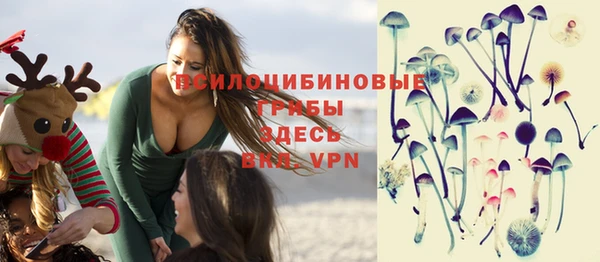 бошки Верея