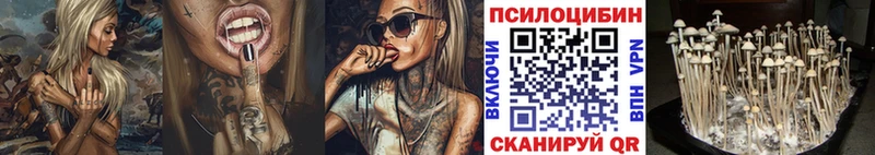 Псилоцибиновые грибы прущие грибы  Купить  Лакинск 